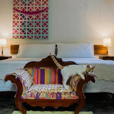 Apartamento Hrc-s1 De Doble Con Piscina Cerca Al Centro Historico Con Wifi